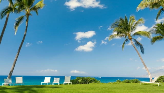 ��������ս��5v5